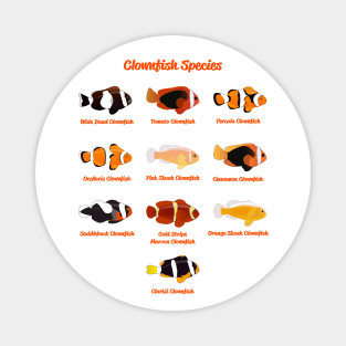 Clownfish Species Magnet